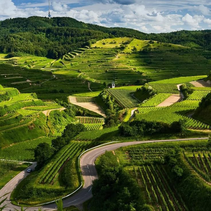 Coorg Tour Package